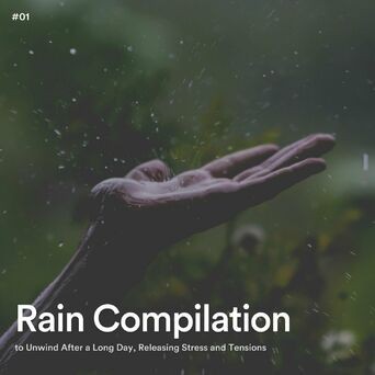 #01 Rain Compilation to Unwind After a Long Day, Releasing Stress and Tensions
