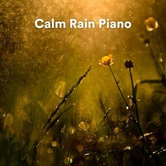 Calm Rain Piano (Rain and Piano Sounds for Sleep)