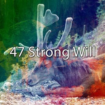 47 Strong Will