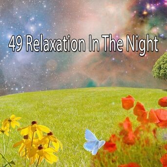 49 Relaxation In The Night