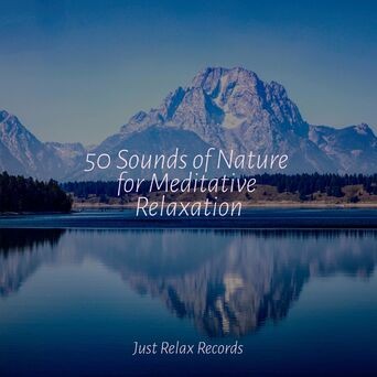 50 Sounds of Nature for Meditative Relaxation