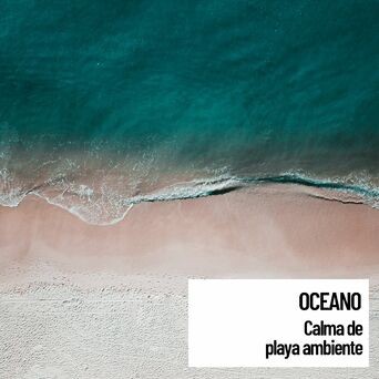 Oceano: Calma de playa ambiente