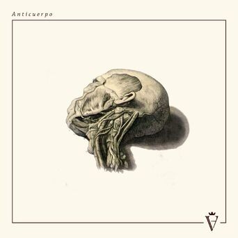 Anticuerpo