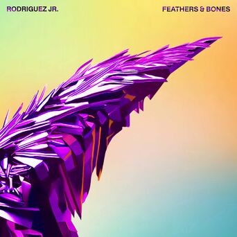 Feathers & Bones