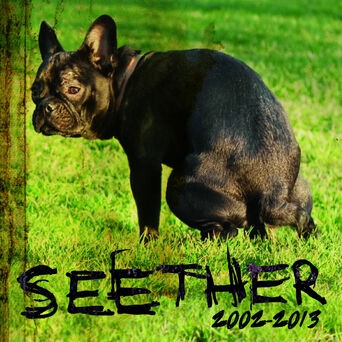 Seether: 2002 - 2013