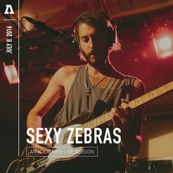 Sexy Zebras on Audiotree Live