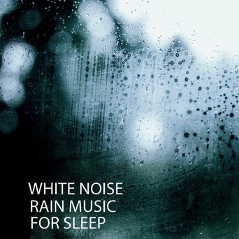 White Noise: Rain Music For Sleep