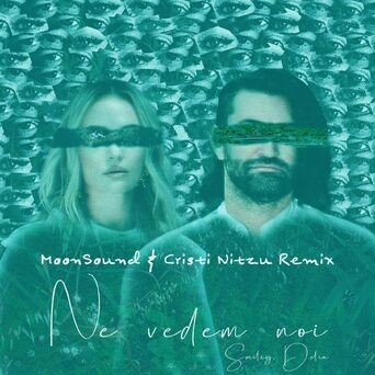 Ne Vedem Noi (MoonSound & Cristi Nitzu Remix)
