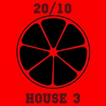 20/10 House, Vol. 3