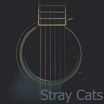 Stray Cats - Westwood 1 FM Broadcast Massey Hall Toronto Canada 28th March 1983 Part Two.