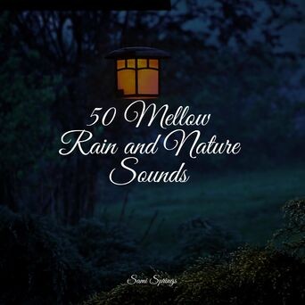 50 Mellow Rain and Nature Sounds