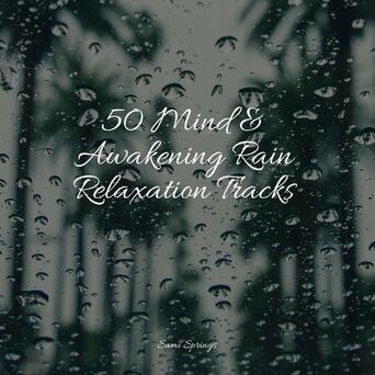 50 Mind & Awakening Rain Relaxation Tracks