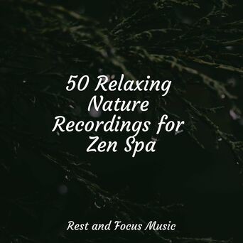 50 Relaxing Nature Recordings for Zen Spa