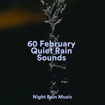 60 February Quiet Rain Sounds