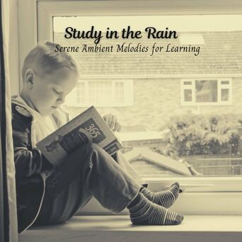 Study in the Rain: Serene Ambient Melodies for Learning
