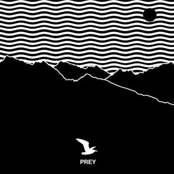 Prey (Album Version)