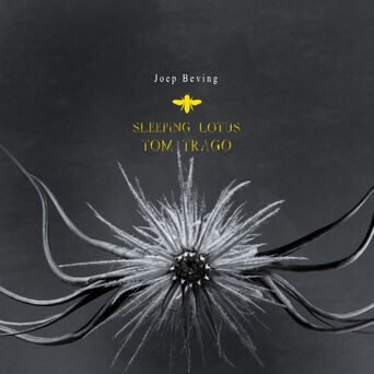 Sleeping Lotus (Tom Trago’s Sixtine Remix)