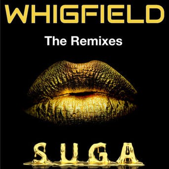 Suga - The Remixes