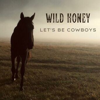 Let's Be Cowboys