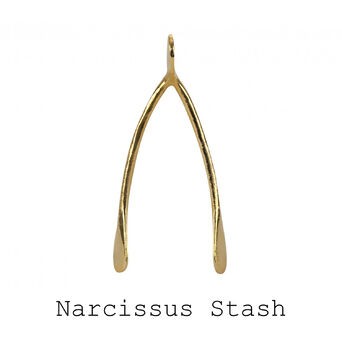 Narcissus Stash