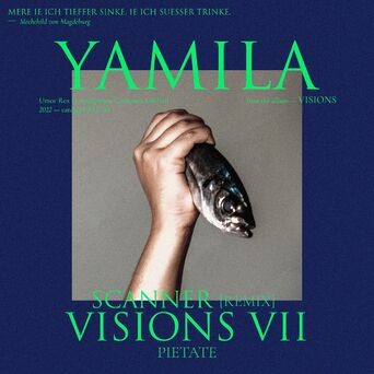 Visions VII (Scanner remix)