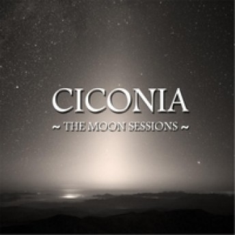 Ciconia
