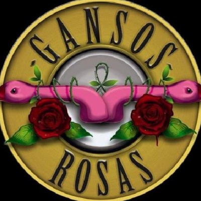 Gansos Rosas en Benidorm (Alicante)