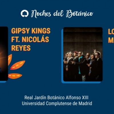 Gipsy Kings, Los Manolos en Madrid