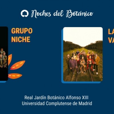 Grupo Niche en Madrid