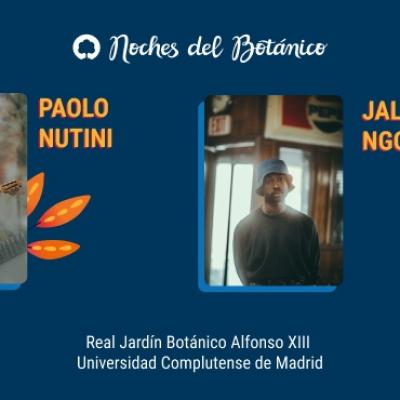 Paolo Nutini en Madrid