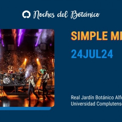 Simple Minds en Madrid