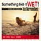 Roddin' At The Beach / Something Like It Wet!