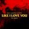 Like I Love You (The Mixes)